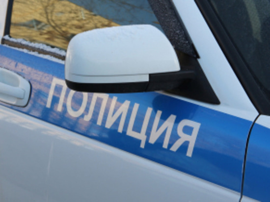 Двум жителям Пензенской области грозит до пяти лет лишения свободы за кражу мяса