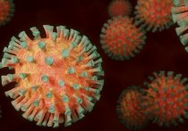 За прошлые сутки в Забайкалье выявлено 369 заражений коронавирусом, вылечены от этой болезни 264 человека, подтверждено 14 летальных случаев от нее