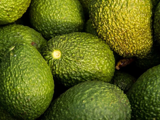 Невролог раскрыл опасность авокадо для кишечника