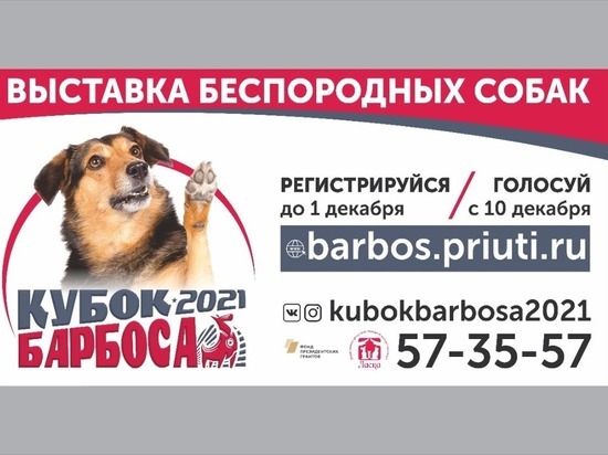 В Барнауле пройдет выставка беспородных «Кубок Барбоса»