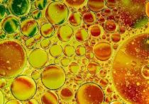 Одна из жирных кислот, входящих в состав пальмового масла, может спровоцировать распространение раковых клеток