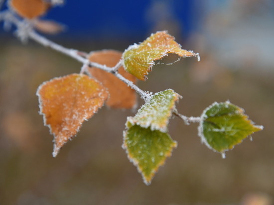 В Волгоградскую область пришел первый снег и 10-градусные морозы