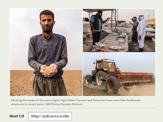 Фермеры в Ираке ощутили накал экстремальных климатических явлений