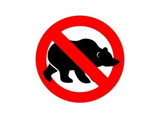 В двух районах Костромской области запрещена охота на медведя и барсука
