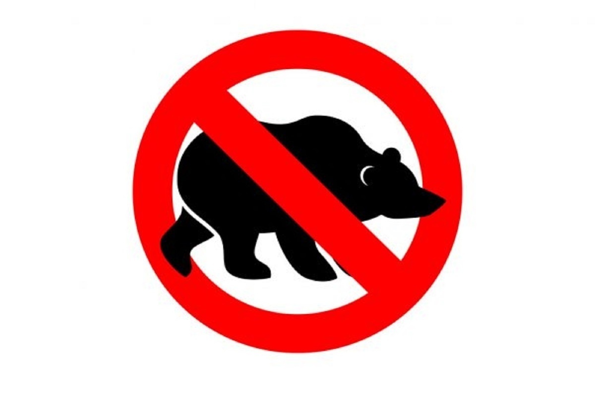 В двух районах Костромской области запрещена охота на медведя и барсука