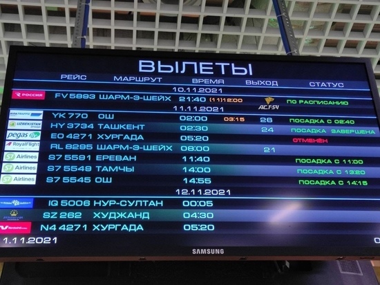 Прокуратура проверит инцидент с задержкой рейса в Египет в новосибирском аэропорту