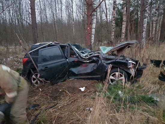 Один человек погиб и один пострадал при опрокидывании «Ниссана» в Тверской области