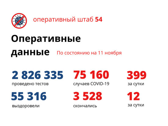 В Новосибирской области 11 ноября зарегистрировано 399 новых случаев COVID-19
