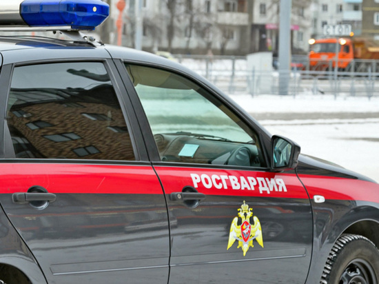 Жительница Черногорска спасла чужой автомобиль от угона