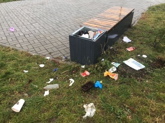 На «мусорный бардак» у кампуса ПсковГУ пожаловалась псковичка