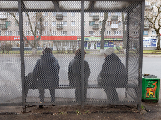 Почему в Пскове устанавливают остановки с решетчатыми стенами, объяснил Борис Елкин