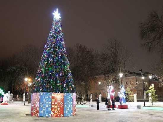 В Рязани установят 35 новогодних ёлок, самую большую – на площади Ленина