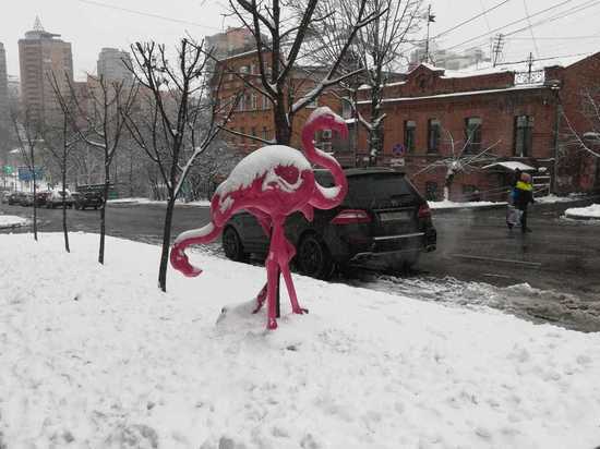 «Вы заметили уборку снега в Хабаровске?»: опрос