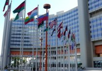 Генеральный секретарь ООН Антониу Гутерриш, обращаясь к участникам Парижского форума мира, призвал международное сообщество разработать план по вакцинации от коронавирусной инфекции