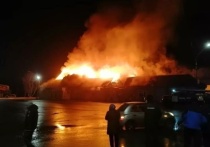 Вечером 11 ноября в Павловске загорелось огромное кафе «Майя» площадью 800 кв. метров