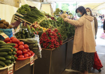 Министерство сельского хозяйства России разработало меры, которые помогут сдержать рост цен на овощи, входящие в так называемый «борщевой набор»
