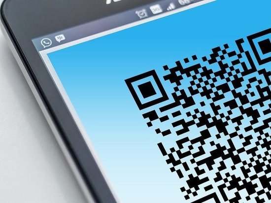 Сколько стоил фальшивый сертификат о вакцинации для QR-кода в Челябинской области