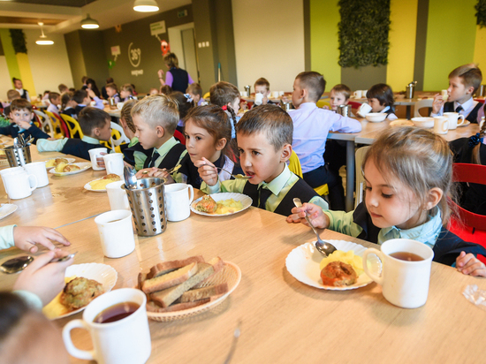 Областная Дума заложила в бюджет 2022 года средства на питание костромских школьников