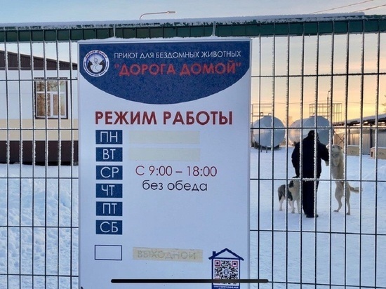 Дополнительные 100 мест обустроят в приюте для бездомных животных в Салехарде