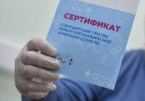 Данные более 500 тысяч россиян, купивших поддельные сертификаты о вакцинации от коронавируса и QR-коды для доступа в общественные места, появились в дарнете