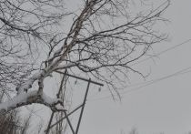 По данным ГУ МЧС России по Хабаровскому краю в четырех населенных пунктах Амурского района идут работы по восстановлению нарушенного мощным циклоном электроснабжения