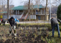 Сегодня, 12 ноября, возле цирка "Космос" в Донецке высадили луковицы тюльпанов, нарциссов, а также розы и многолетние кустарники