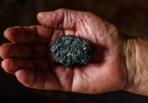 По сообщению заместителя министра угля и энергетики Алексея Василенко Донецкий металлургический завод был назначен временным администратором шахтоуправления "Донбасс"