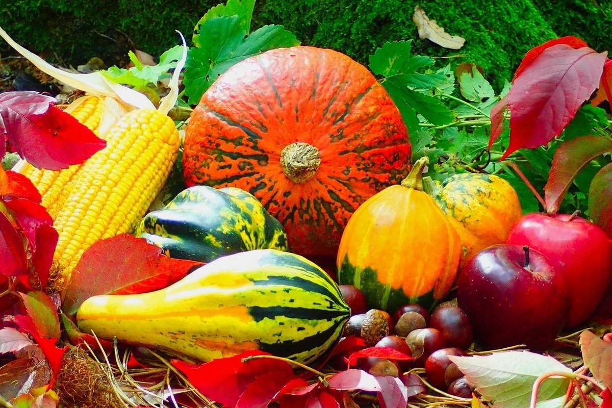 Осень Золотая фрукты и овощи