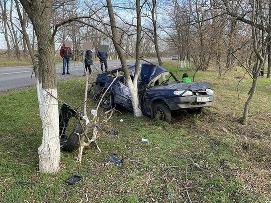 На Дону водитель ВАЗа врезался в дерево: погибла пожилая пассажирка
