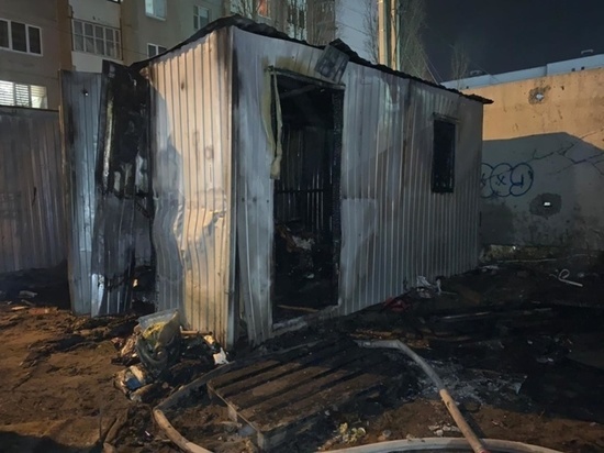   В Воронеже в пятницу погибли два человека при пожаре на ул. Ростовская в Левобережном районе