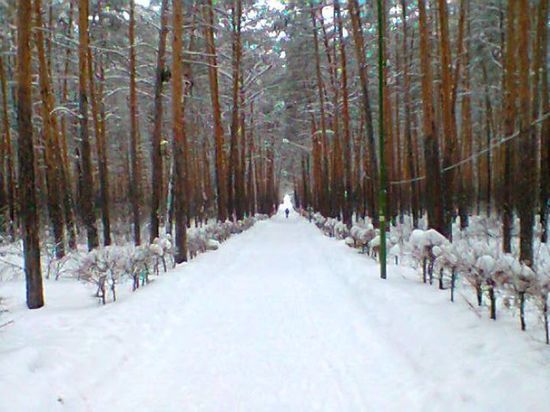 На выходные в Омске синоптики предсказали мокрый снег и гололёд