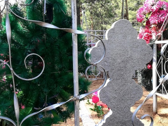 Полиция выявила подозреваемого в разгроме 10 могил в Шерловой Горе
