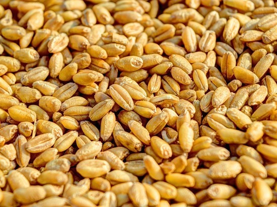 Южноуралец похитил со склада почти 3 тонны зерна