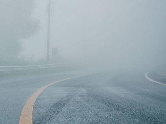МЧС предупредило о тумане в Ленобласти