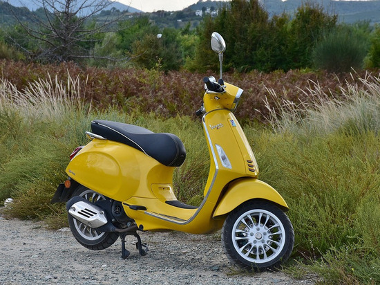 Смолянин украл у знакомых мопед и сжег его