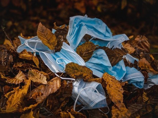  В Россию с QR-кодом: где понадобится справка о вакцинации?