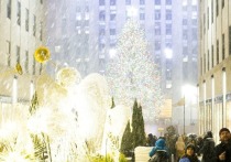 В Нью-Йорк привезли главную рождественскую ель
