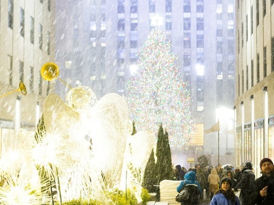 В Нью-Йорк привезли главную рождественскую ель