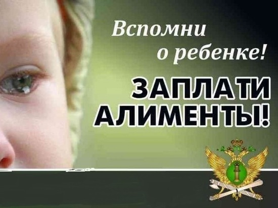 В Ярославской области осудили мать за долги своему ребенку