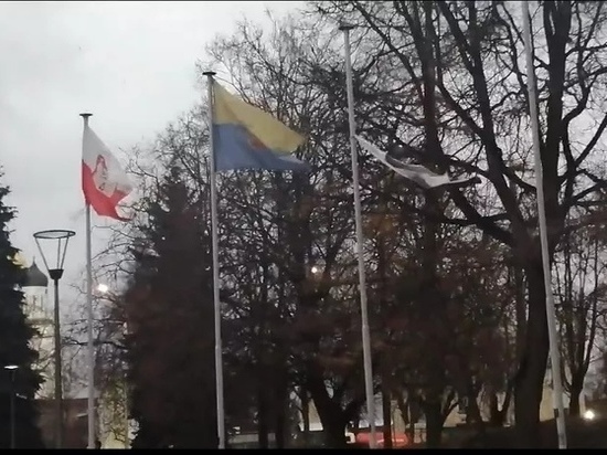 «Половые тряпки выглядят приличнее»: псковичка возмутилась состоянием флагов в городском сквере