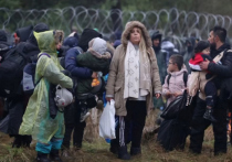 Полиция Подляского воеводства сообщила, что мигранты, собравшиеся в лагере на белорусско-польской границе, предприняли штурм заграждений