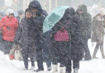На следующей неделе москвичи вновь увидят снег