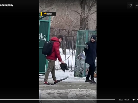 Юный новосибирец прогулялся по городу в ластах