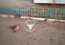 В Чите на улице Автостроителей в поселке ГРЭС мужчина выкинул с третьего этажа тело разорванной собаки