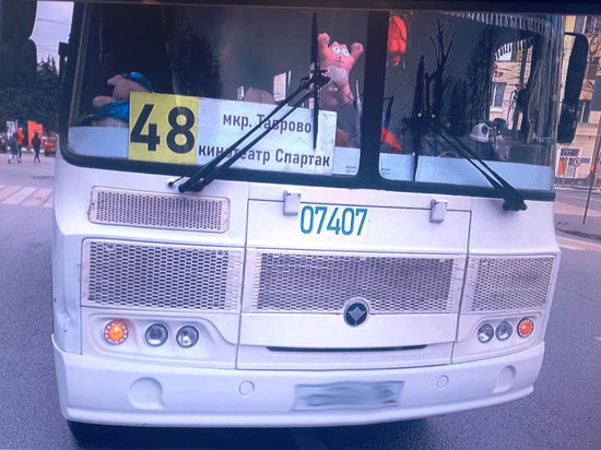 Маршрутка сбила велосипедиста в центре Воронежа