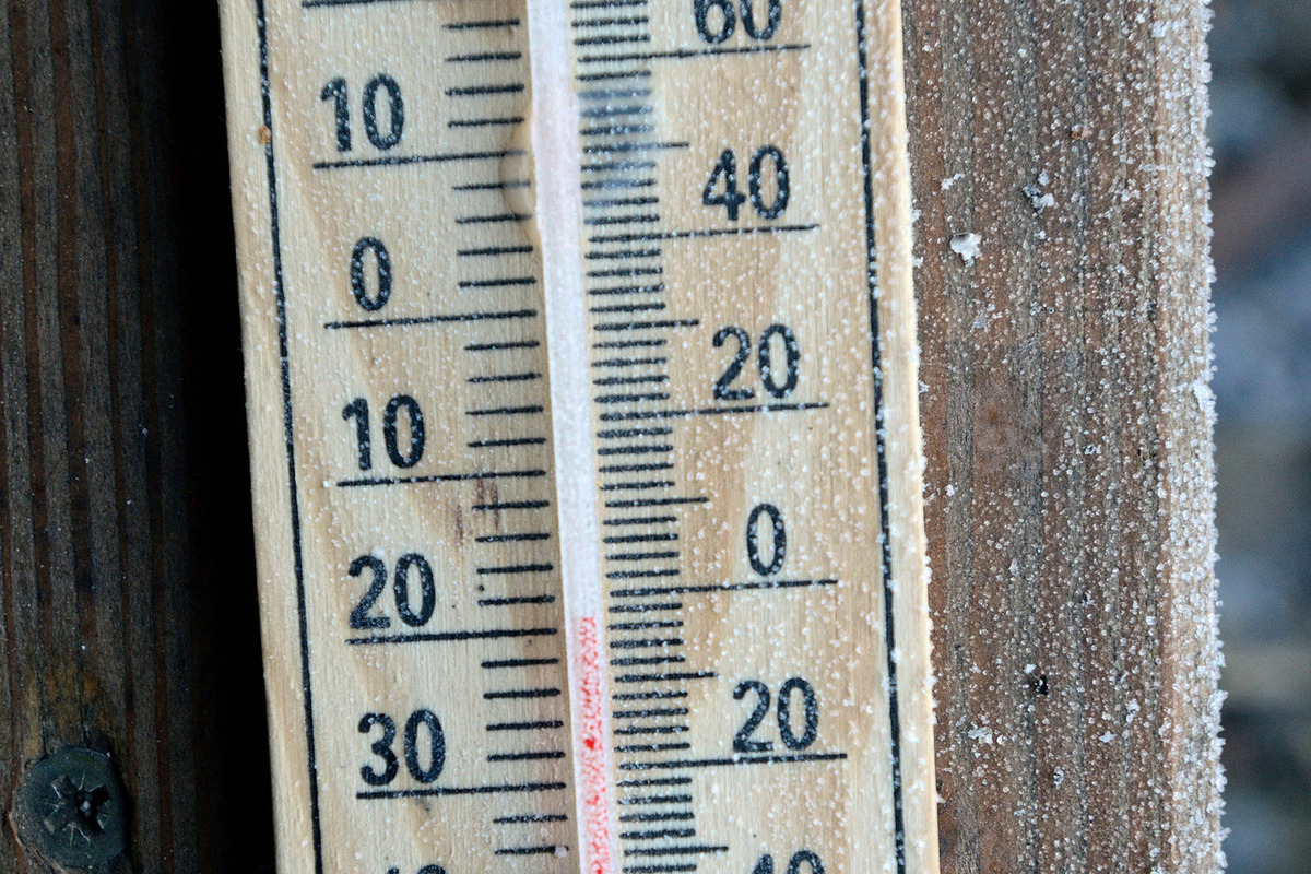 Температура в новгородской области
