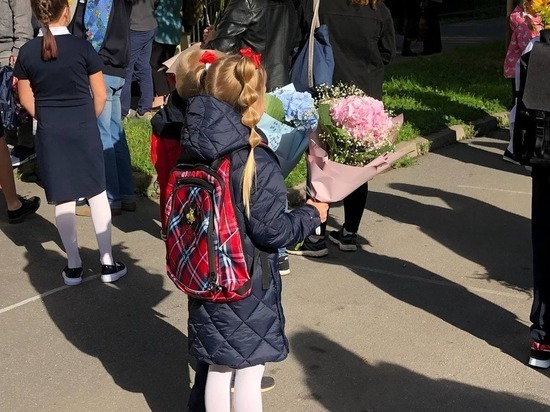 «Объявляю сезон бомб открытым»: лжеминеры сообщили о снарядах в пяти школах Петербурга