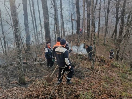 В Туапсинском районе ликвидировали лесной пожар площадью 3,8 гектара