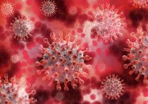 В Норвегии был выявлен новый вариант штамма коронавируса «Дельта»