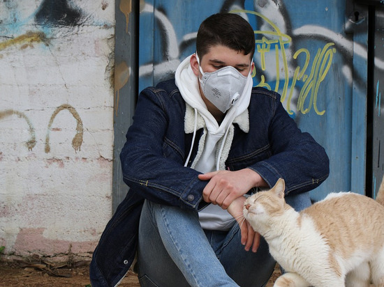 14 районов Смоленской области пострадали от коронавируса 15 ноября